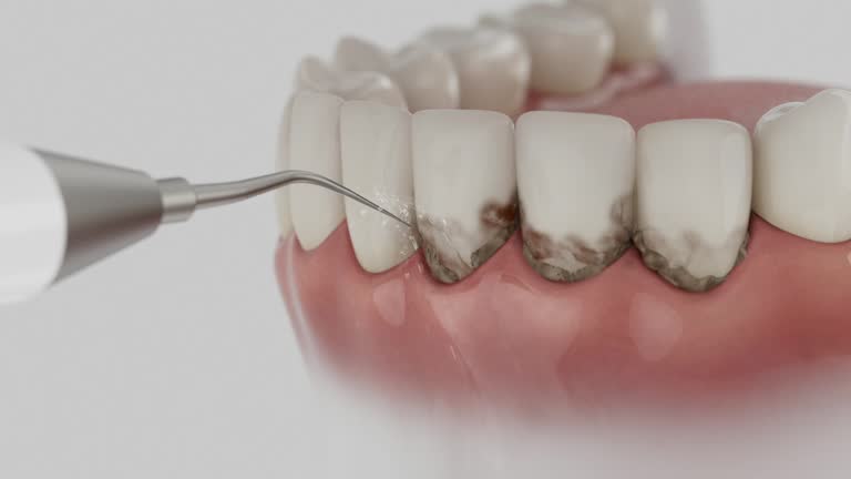 Reliable Dental contractor in Arkansas City, KS by Dentist Open Now